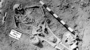 La cepa más antigua de la peste era muy letal y provocó brotes mortales hace 5.500 años