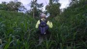 La verdadera historia detrás de la ciudad perdida de la Amazonía