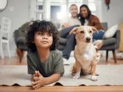 ¿Cuándo están realmente preparados los hijos para tener una mascota en casa?