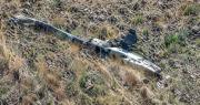 Reportan la caída de una aeronave en Sayari; un contingente se dirige a la zona