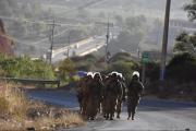 ¿Qué dice la nueva alerta de seguridad emitida por EEUU para sus ciudadanos que desean venir o están en Bolivia?