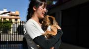 Cochabamba ya cuenta con una clínica pública para mascotas