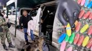 Can Lía halla 261 cápsulas de cocaína en equipaje de un pasajero