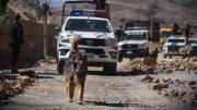 Rex, el perro callejero que se convirtió en compañero de los policías, será adoptado
