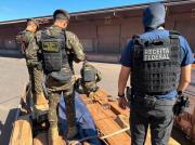 Incautan camiones con 50 toneladas de cocaína impregnada en maderas