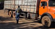 Felcn ejecuta operativos con la DEA en la frontera con Brasil por el ‘caso narcomaderas’; hay una carga sospechosa