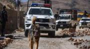 De compañero de operativos a nuevo integrante: policías adoptan a Rex tras los desbloqueos en Parotani