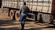 Felcn envía muestras a laboratorios de EE.UU. tras hallazgo en caso narcomaderas