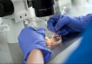 No hay pruebas sólidas de que las terapias para mejorar la fecundación in vitro funcionen