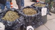 Hallan 64 paquetes de marihuana ocultos en un tanque de combustible en Chulumani