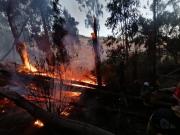 El fuego vuelve a encenderse en Pura Pura y obliga a reforzar operativo nocturno en La Paz