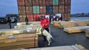 Cámara Forestal de Bolivia pide que las “narcomaderas” sean sometidas a un peritaje científico internacional