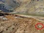 Tras denuncias en redes, Gobernación garantiza la calidad del agua en Hampaturi
