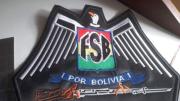 TCP ordena al TSE habilitar a la Falange Socialista Boliviana y reconocer a Otto Richter como representante legal