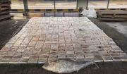 Rusia incauta 500 kilos de cocaína ocultos en atún procedente de Ecuador