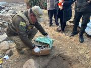 Investigan hallazgo de restos de un feto enterrados en una caja en Llallagua