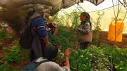 Alertan futura escasez de alimentos