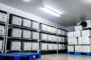 Gobierno aprueba decretos para la liberación de impuestos en donaciones de medicamentos e insumos médicos
