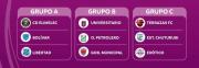 Conocé los grupos y el fixture de la Liga de Desarrollo Sub-14