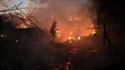 Incendio arrasa 12 hectáreas en El Portillo; investigan al responsable de la quema