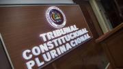 Acefalías: El TPC tiene al menos 22 mil causas pendientes y cuatro conflictos por resolver
