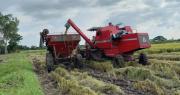Gobierno: “Quienes producen son quienes alimentan a los bolivianos y nuestro deber es generarles condiciones”