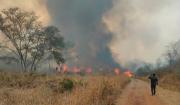 Defensoría del Pueblo pide acciones preventivas para evitar una nueva crisis por incendios forestales