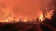 Defensoría del Pueblo urge al Gobierno para prevenir una nueva crisis de incendios forestales