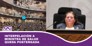 Interpelación a ministra de Salud queda postergada