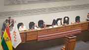 Suspenden interpelación a ministra de Salud por ausencia de interpelantes
