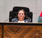 Asamblea suspende la interpelación a la ministra de Salud por ausencia de legisladores habilitados