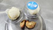 ¿Te imaginás un helado hecho de larvas de tuyu tuyu?