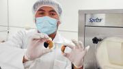 UMSA investiga potencial de insectos comestibles y desarrolla un helado con tuyu tuyu