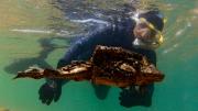 La rana gigante del Titicaca: de símbolo andino a víctima del tráfico ilegal