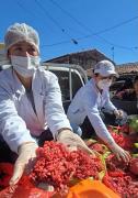 Decomisan 40 kilos de carne en mal estado y 100 litros de sangre en operativo en Los Pozos