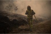 Incendios forestales arrasan más de 17.000 hectáreas