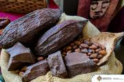 Bolivia exportó $us 11 millones en cacao durante 2025