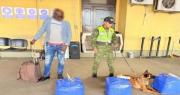 ONU: Interceptan más de 160 kilos de droga en “dos importantes intentos de tráfico de cocaína” en Viru Viru