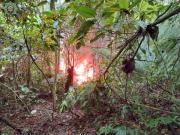 Felcn destruye cuatro fábricas móviles y 580 litros de droga en Villa Tunari