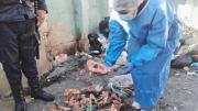 Alcaldía de El Alto confirma que carne de perro fue comercializada durante los bloqueos