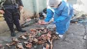 Confirman que los restos hallados en basura de El Alto durante los conflictos sociales eran de perros
