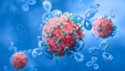 La OMS estima que el 20% de la población desarrollará cáncer