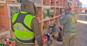 La Paz: hallan dos fetos abandonados en bolsas en el cementerio de Viacha