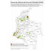 ¿Podrá la ‘mano dura’ del próximo gobierno de Colombia frenar la expansión de coca?