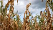 El Niño ya llega y amenaza con sacudir la inflación, materias primas y la bolsa
