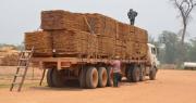 Exportaciones forestales caen por debajo de los niveles de la pandemia y el sector advierte una crisis histórica