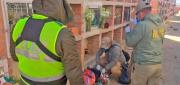 INVESTIGAN EL HALLAZGO DE DOS FETOS ABANDONADOS EN UN CEMENTERIO DE VIACHA