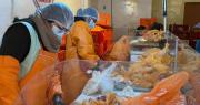 ¿ A cuánto se cotiza el precio del pollo en mercados del eje central?