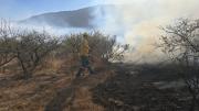 Incendio arrasó 100 has de vegetación en cercanía a una comunidad de Tarija