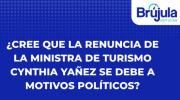 Sondeo: la mayoría atribuye a razones políticas la renuncia de Yáñez